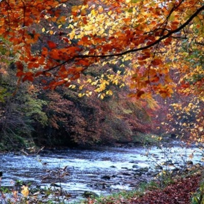 Lady's Well Northumberland