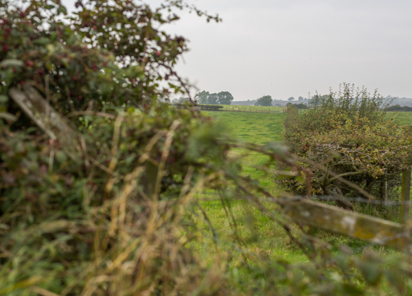 Pig Run Barn 4 Star Gold near Beamish, Durham and Newcastle ,is surround by peaceful countryside to explore with a net work of footpaths 