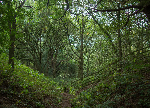 Pig Run Barn 4 Star Gold near Beamish, Durham and Newcastle. Pig Run Barn is surrounded by countryside and woodland for you to explore 