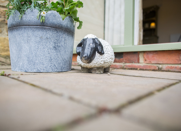 Granary Barn welcoming committee