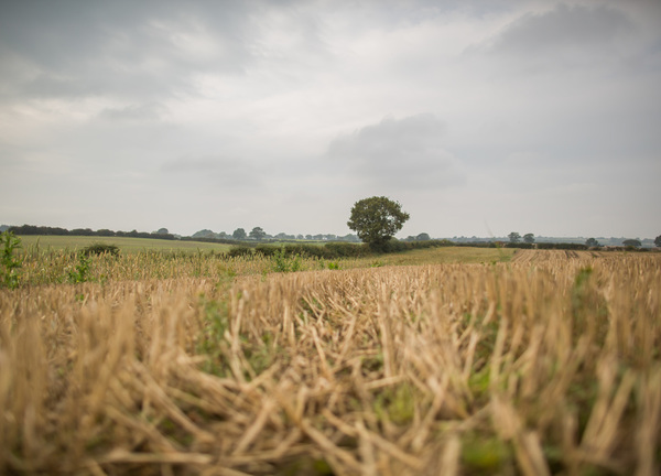 Granary Barn is located on a working family farm, surrounded by peaceful countryside 