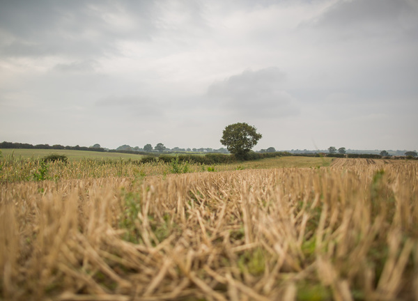 Looking out over peaceful countryside 