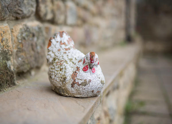 Millers Barn is a 5 Star Cottage, sleeping up to 5 people over three bedrooms and 2 floors with an en-suite to the master bedroom and a family bathroom.