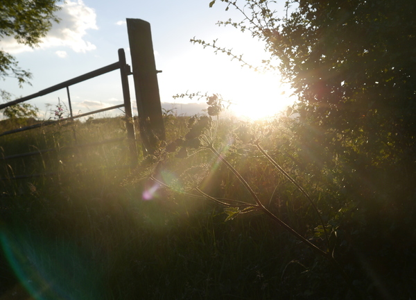 The Hay Loft - 5 Star Little White Farm, Brancepeth, Durham, Northumberland 