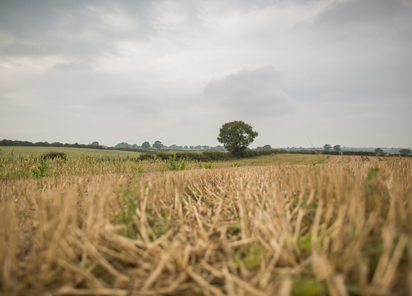 Pig Run Barn 4 Star Gold near Beamish, Durham and Newcastle ,is surround by peaceful countryside to explore  